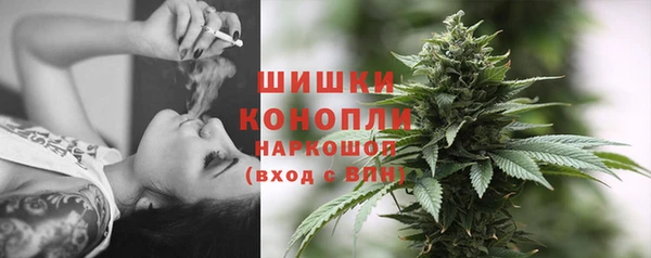 PSILOCYBIN Белоозёрский
