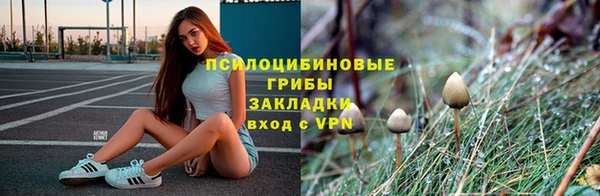 PSILOCYBIN Белоозёрский