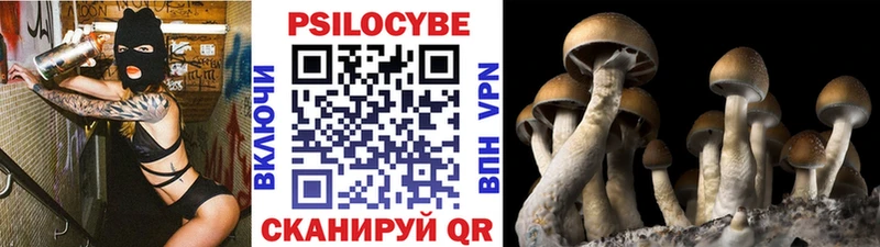Псилоцибиновые грибы мухоморы  omg онион  Слободской 